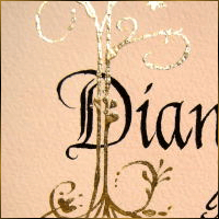 Alexis Design | Same Gender Weddings and Galligraphy