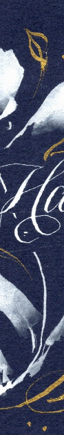 Alexis Design | My Service Areas