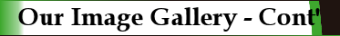 Our Image Gallery Continued