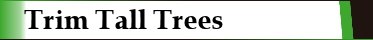 Trim Tall Trees