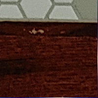Blue Tile Installer